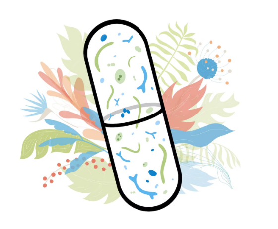 Probiotics and Prebiotics