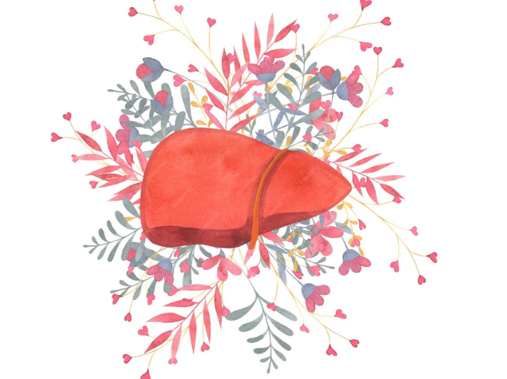 Liver and Gallbladder Support