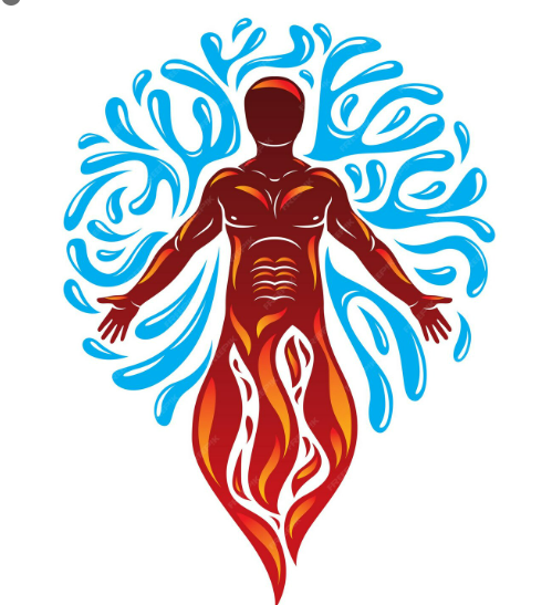 Detoxification Support